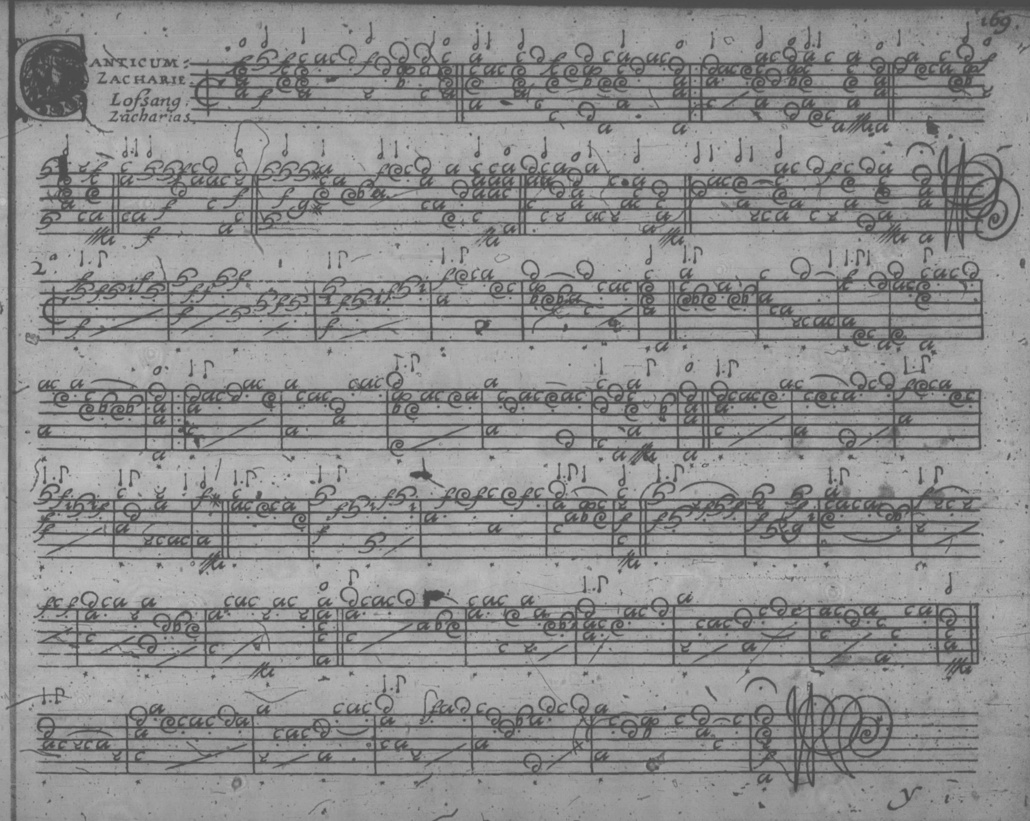 cropped page